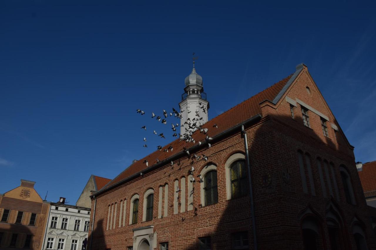 Copernicus Prestige Lägenhet Olsztyn  Exteriör bild